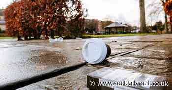 Hull litterbugs fined more than £20,000