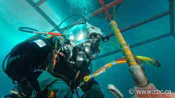 Commercial divers concerned about industry's future after Seneca College cancels program
