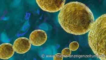 Streptokokken: Sieben Symptome können Warnsignale sein