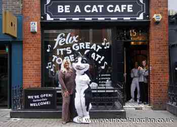Gemma Collins helps launch cafe encouraging people to be like a cat