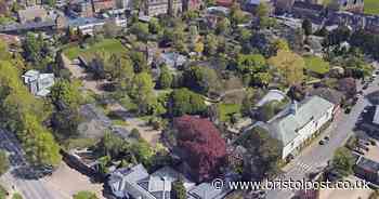 Mayor warned he faces a Plymouth-style tree backlash unless he protects all the trees at Bristol Zoo