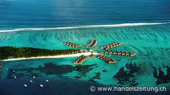 «Wir bieten unseren Gästen die Möglichkeit, ein wenig von der Leichtigkeit wiederzufinden»