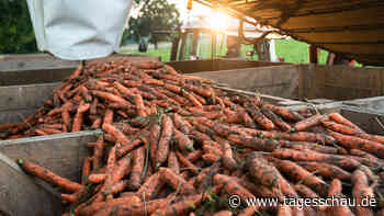 Diskussion über Studie: Mehr Öko-Landwirtschaft - weniger Kosten?