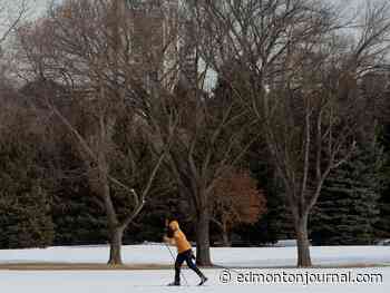 Edmonton weather: 'Real spring' might be making its appearance, finally!
