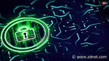 Amid AI craze, what will it take for firms to take data security seriously?