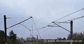 Metro disruption to continue until next week after 800 metres of wire comes down in South Tyneside