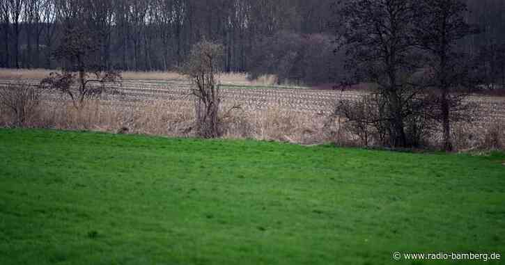 DNA-Spur unter Fingernagel: «Mord im Maisfeld» aufgeklärt
