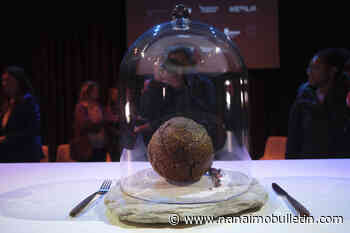 Elephant in the dining room: Startup makes mammoth meatball