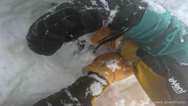 WATCH: Skier Finds Snowboarder Head First In Deep Tree Well