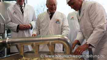 König Charles: Ovationen im Bundestag, Käse in Brandenburg