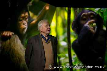 New immersive digital attraction BBC Earth Experience opens
