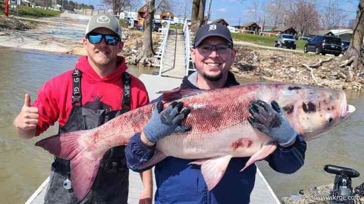 Holy Carp! 67-pound invasive fish caught in Oklahoma