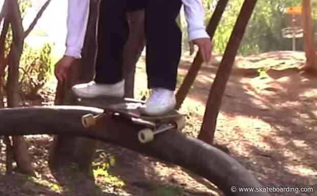 Look: This Tree Branch 50-50 Is The Way Nature Intended Us To Grind