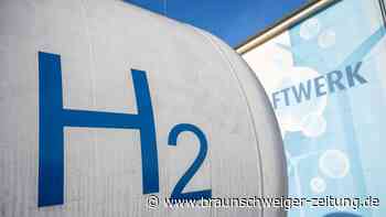 Gasheizung mit Biogas: Was sind klimafreundliche Gase?