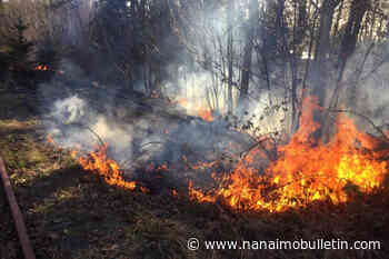 Woman arrested after series of suspicious fires started on Vancouver Island