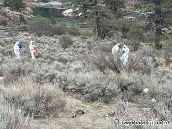 Decomposed human remains found near Farad