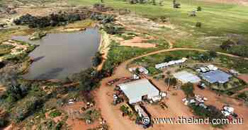 Wilga Downs: Productive cropping and grazing country