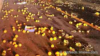 'Copious amounts' of oranges, mangoes spill onto Colorado interstate