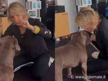 Maria De Filippi insieme a Saki: il video inedito in queste ore sui social 