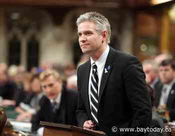 Liberals must create national autism framework after Tory bill receives royal assent