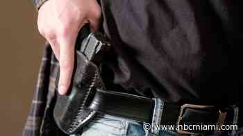 Florida Senate OKs Bill to Carry Concealed Guns Without a Permit