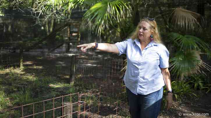 Carole Baskin plans to sell Big Cat Rescue, send animals to Arkansas