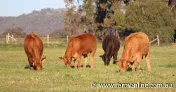 One-stop online shop for grazing tools