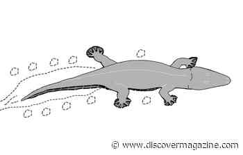 Scientists Find Footprints Older Than the Dinosaurs