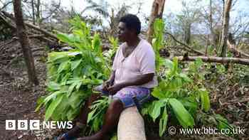 Climate change: World's top court to weigh in
