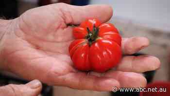 Producer warns 'fussy' consumers could jeopardise local fruit and vegetable industry