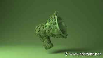 Viele Stellschrauben: Fünf Tipps für mehr Nachhaltigkeit im Design