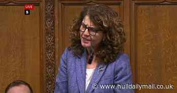 Diana Johnson proposes new bill: No telecom poles placed without residents' permission