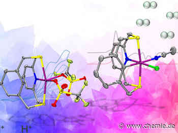 Die Nachahmung biologischer Enzyme könnte der Schlüssel zur Herstellung von Wasserstoffkraftstoff sein