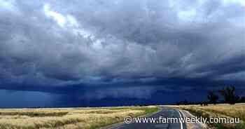 Wheatbelt and Gascoyne see "decent" shower overnight
