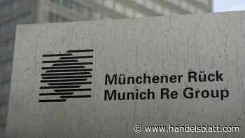 Versicherungen: Münchener Rück ist bereit für Milliarden-Zukäufe