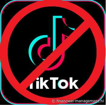 Bedrijven kopen steeds meer reclame op TikTok