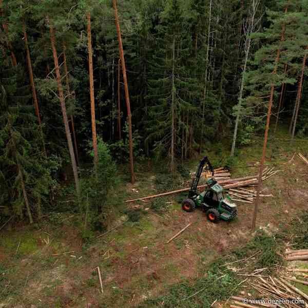 The "enormously important" hidden carbon impacts of getting mass timber wrong