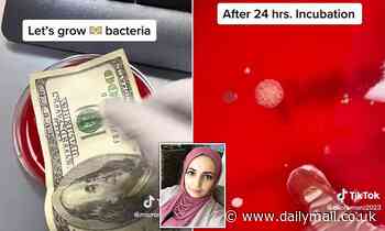 This money needs laundering! TikTok scientist reveals the invisible bugs lurking on dirty notes