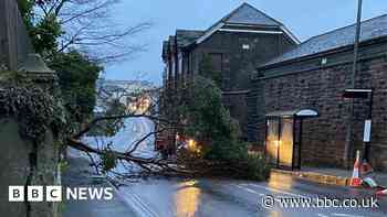 Trees down and power cuts in Cornwall due to Storm Mathis