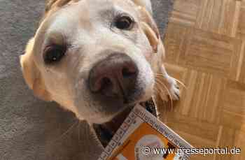 Österreich: Die beliebtesten Ausreden der Mautsünder 2022