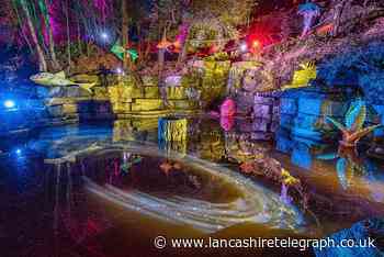 Rivington Terraced Garden's Festival of Lights tickets