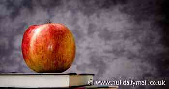 Most teachers say students have had a positive impact on their lives