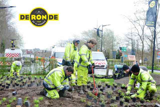 Oudenaarde klaar voor een feestelijk Ronde-weekend: “We verwelkomen de massa met open armen”