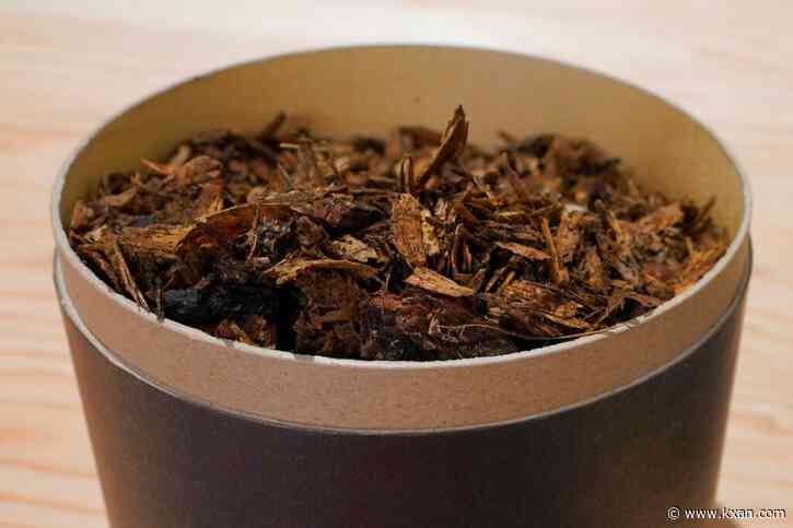 Is human composting legal in Texas?