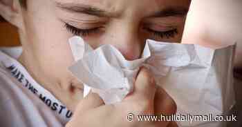 Sufferers advised to take action on hay fever medication now