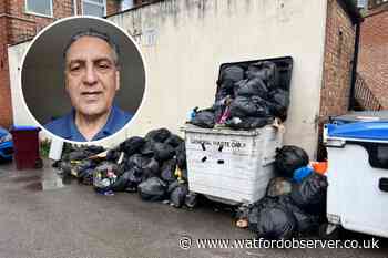 The Viking Fish & Chips fears pests as rubbish not collected
