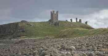 North East to get wildflower meadows to mark King's coronation