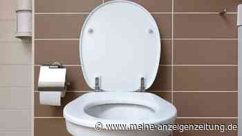 Spülung defekt? Die zwei häufigsten Ursachen, wenn ständig Wasser in die Toilette läuft