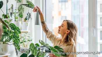 In vielen Nebenjobs lässt sich einfach und schnell Geld verdienen