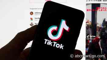TikTok propaganda labels fall flat in 'huge win' for Russia
